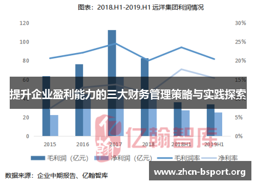 提升企业盈利能力的三大财务管理策略与实践探索 提升企业盈利能力的三大财务管理策略与实践探索