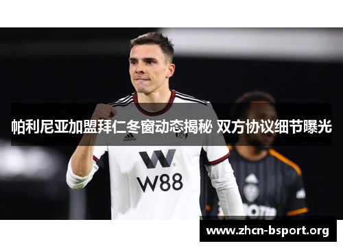 帕利尼亚加盟拜仁冬窗动态揭秘 双方协议细节曝光 帕利尼亚加盟拜仁冬窗动态揭秘 双方协议细节曝光