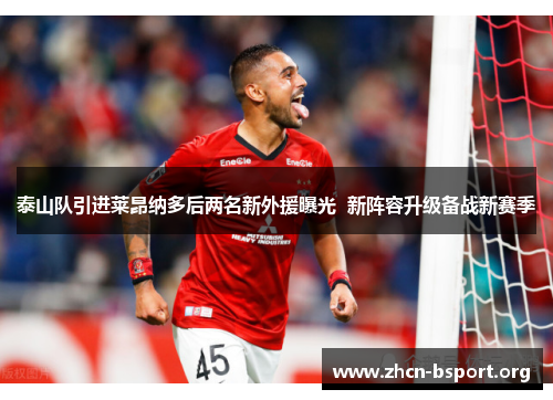 泰山队引进莱昂纳多后两名新外援曝光 新阵容升级备战新赛季 泰山队引进莱昂纳多后两名新外援曝光 新阵容升级备战新赛季