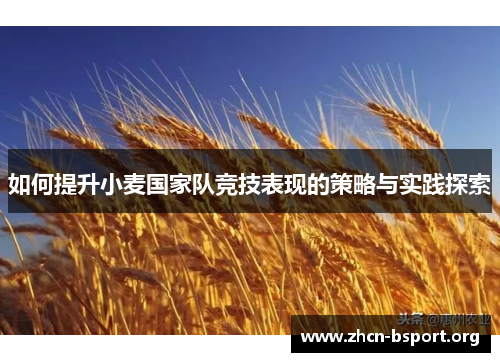 如何提升小麦国家队竞技表现的策略与实践探索 如何提升小麦国家队竞技表现的策略与实践探索