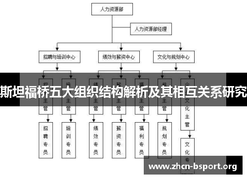 斯坦福桥五大组织结构解析及其相互关系研究 斯坦福桥五大组织结构解析及其相互关系研究