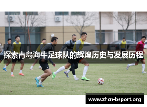 探索青岛海牛足球队的辉煌历史与发展历程 探索青岛海牛足球队的辉煌历史与发展历程
