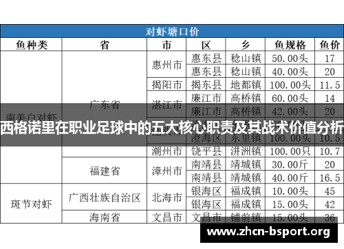 西格诺里在职业足球中的五大核心职责及其战术价值分析 西格诺里在职业足球中的五大核心职责及其战术价值分析