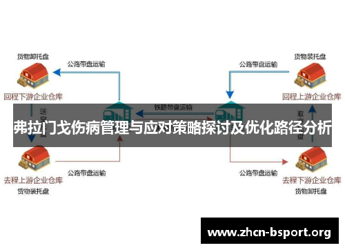弗拉门戈伤病管理与应对策略探讨及优化路径分析