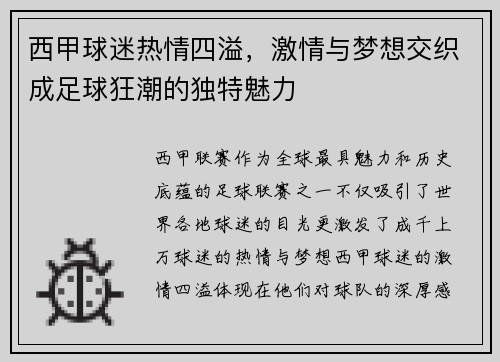 西甲球迷热情四溢，激情与梦想交织成足球狂潮的独特魅力