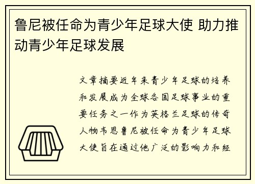 鲁尼被任命为青少年足球大使 助力推动青少年足球发展 鲁尼被任命为青少年足球大使 助力推动青少年足球发展